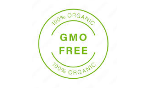 gmo.png